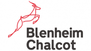 Blenheim Chalcot